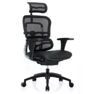 כיסא מחשב רשת Keisar Ergohuman - צבע שחור