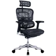 כיסא מחשב רשת Keisar Ergohuman Plus - צבע שחור