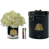 מפיץ ריח 12 ורדים Cote Noire Champagne  - זהב שחור