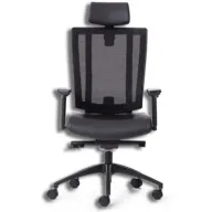 כיסא ארגונומי משרדי NetOne Highback מבית Ergotherapy - צבע שחור