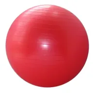 כדור פיזיו בקוטר 55 ס''מ Gymastery - צבע אדום