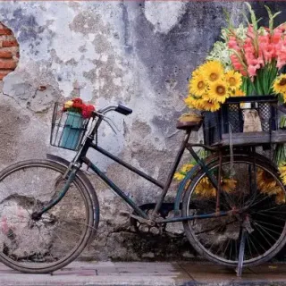 image #1 of פאזל 500 חלקים מבית Educa - אופניים עם פרחים