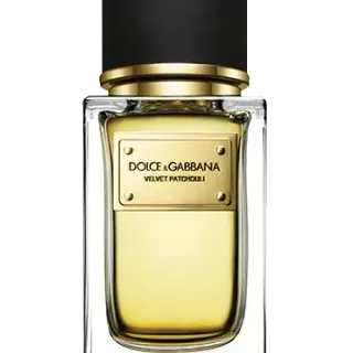 image #1 of בושם יוניסקס 150 מ''ל Dolce & Gabbana Velvet Patchouli או דה פרפיום E.D.P
