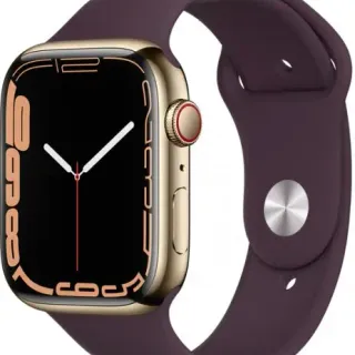 image #2 of שעון חכם Apple Watch Stainless Steel 45mm Series 7 GPS + Cellular צבע שעון Gold Stainless Steel Case צבע רצועה Dark Cherry Sport Band