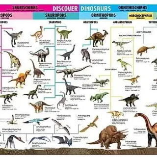 image #3 of ערכת הכירו את הדינוזאורים - Wonders Of Learning