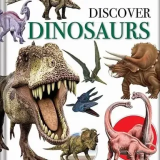 image #7 of ערכת הכירו את הדינוזאורים - Wonders Of Learning
