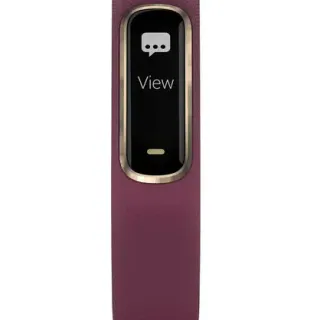 image #6 of רצועת כושר Garmin Vivosmart 4 Hardware Small / Medium - צבע סגול עם זהב כולל תמיכה מלאה בעברית - שנה אחריות יבואן רשמי על ידי רונלייט