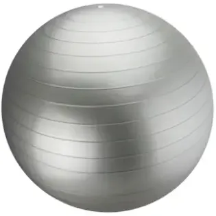image #0 of כדור פיזיו בקוטר 65 ס''מ Gymastery - צבע אפור